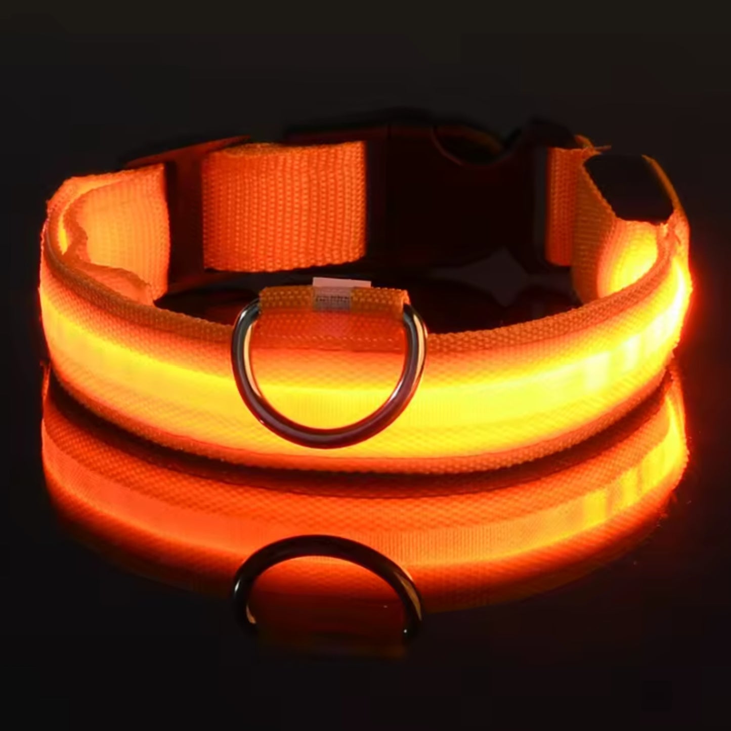 Justerbart LED-Halsband för Hund – Lysande Nylonhalsband för Kvälls- & Nattpromenader