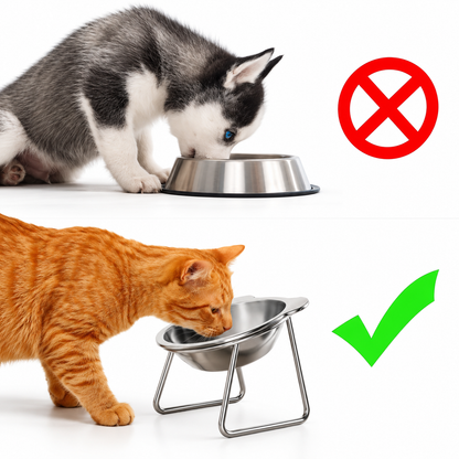 Upphöjd Matskål för Katt & Liten Hund – 15° Lutande Mat- & Vattenskål i Rostfritt Stål med Ställning