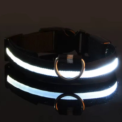 Justerbart LED-Halsband för Hund – Lysande Nylonhalsband för Kvälls- & Nattpromenader
