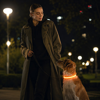 Justerbart LED-Halsband för Hund – Lysande Nylonhalsband för Kvälls- & Nattpromenader