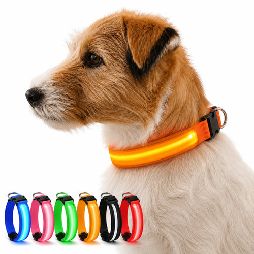 Justerbart LED-Halsband för Hund – Lysande Nylonhalsband för Kvälls- & Nattpromenader