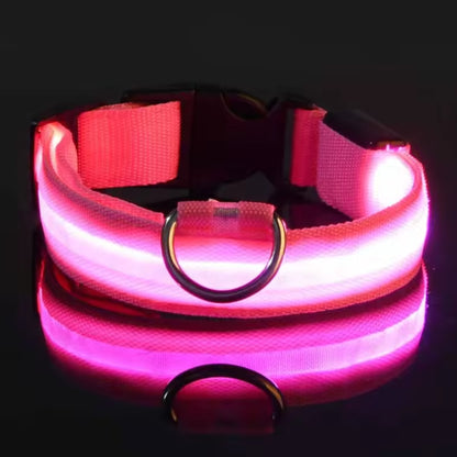 Justerbart LED-Halsband för Hund – Lysande Nylonhalsband för Kvälls- & Nattpromenader