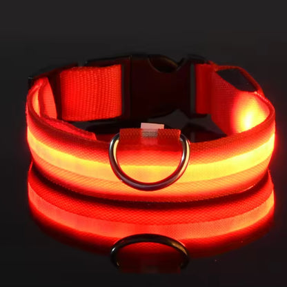 Justerbart LED-Halsband för Hund – Lysande Nylonhalsband för Kvälls- & Nattpromenader