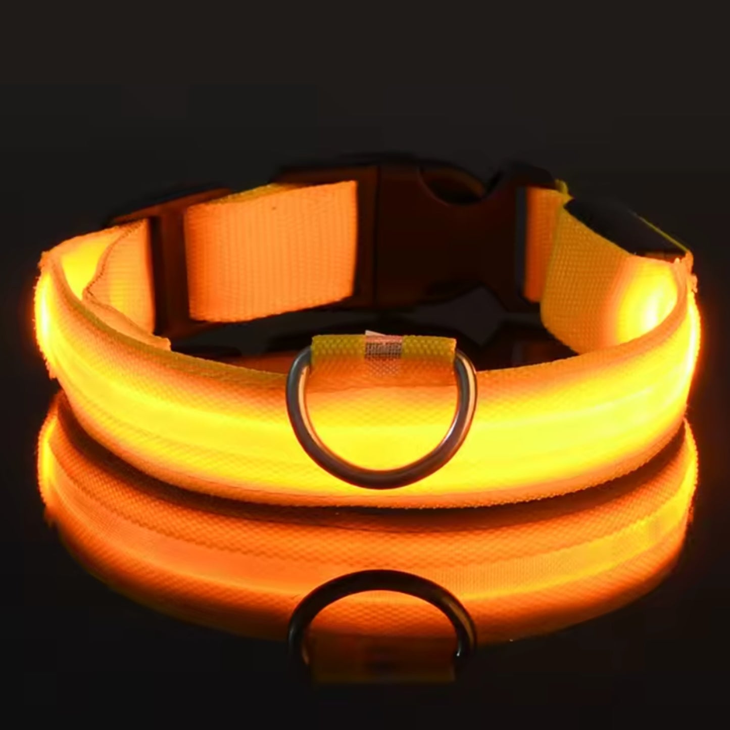 Justerbart LED-Halsband för Hund – Lysande Nylonhalsband för Kvälls- & Nattpromenader