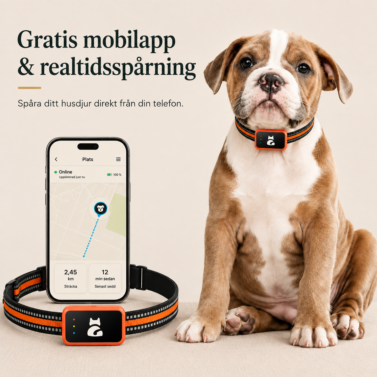 4G GPS-spårare för Hund & Katt – Realtidsspårning med Mobilapp