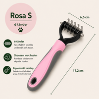 Rosa - Small