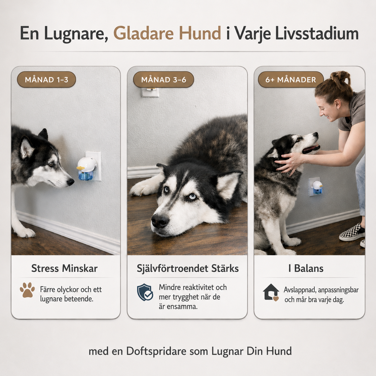 Lugnande Doftspridare för Hund – För Stress & Markering Inomhus