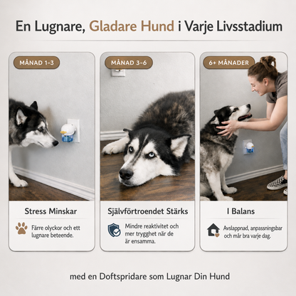 Lugnande Doftspridare för Hund – För Stress & Markering Inomhus