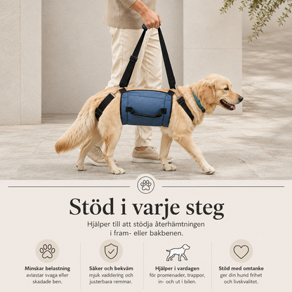 Lyftsele för Hund – Justerbar Helkroppssele med Axelrem