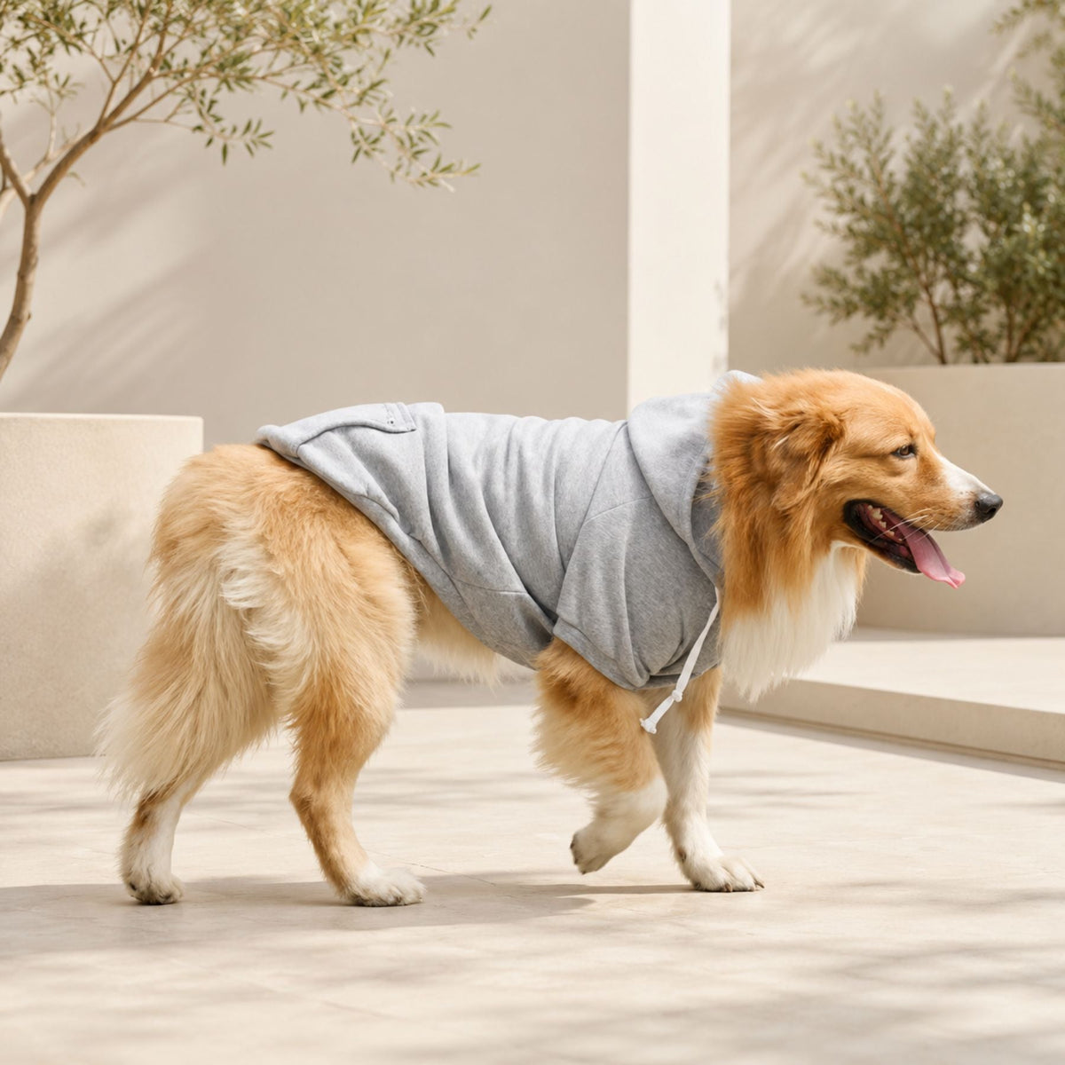 Hundhoodie med Dragkedjeficka – Mjuk Huvtröja för Små, Medelstora & Stora Hundar
