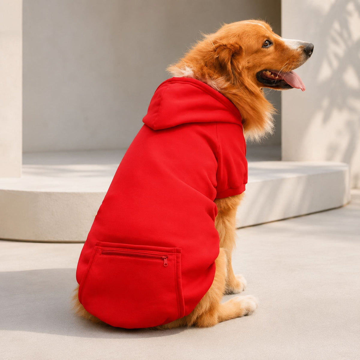 Hundhoodie med Dragkedjeficka – Mjuk Huvtröja för Små, Medelstora & Stora Hundar