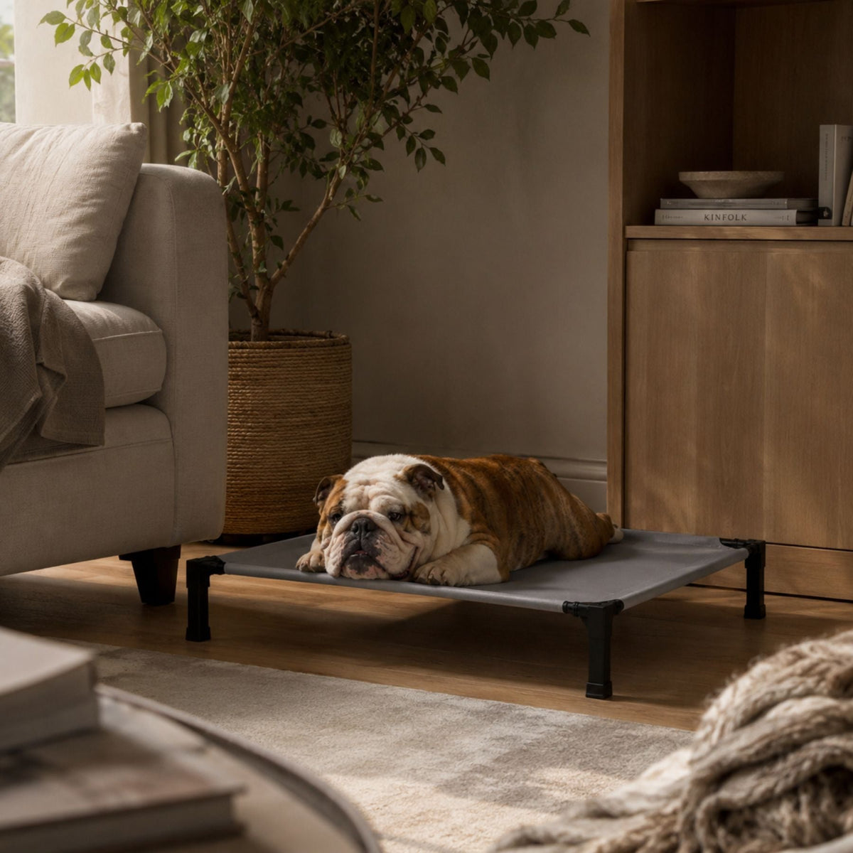 Upphöjd Kylande Hund- & Kattbädd med Ventilerande Nättyg & Metallram