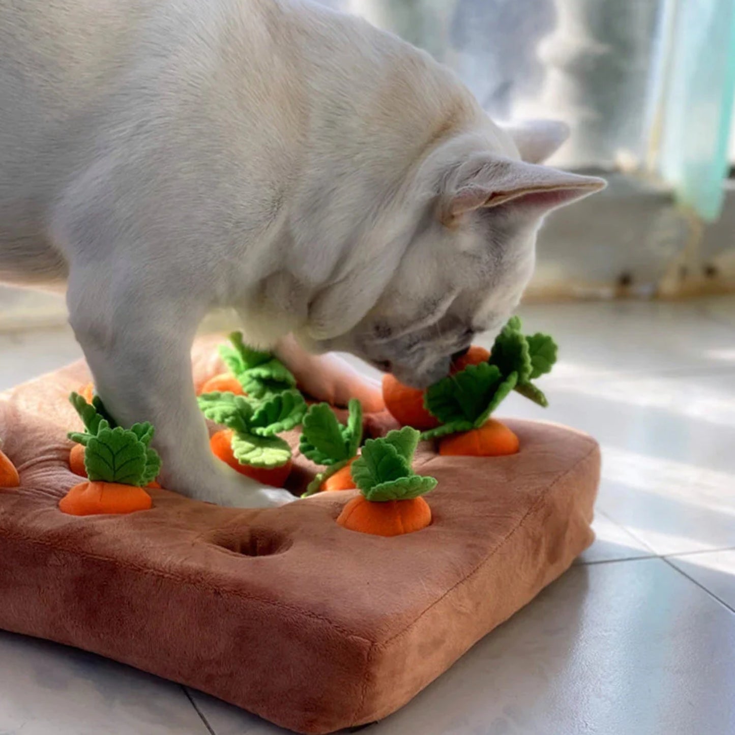 Snuffelmatta med Morotsleksak för Hund & Katt – Interaktiv Aktiveringsmatta för Godissök & Mental Stimulans