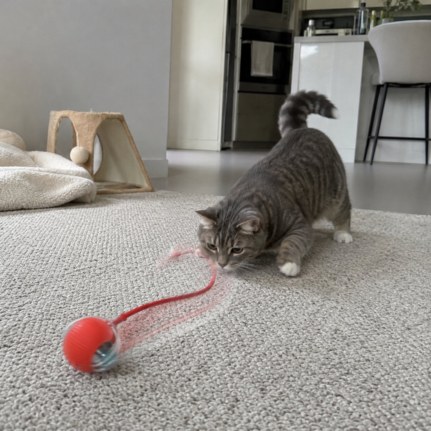 Uppladdningsbar Smart Rullande Boll för Hund & Katt – Interaktiv Aktiveringsleksak för Husdjur