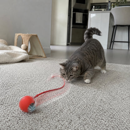 Uppladdningsbar Smart Rullande Boll för Hund & Katt – Interaktiv Aktiveringsleksak för Husdjur