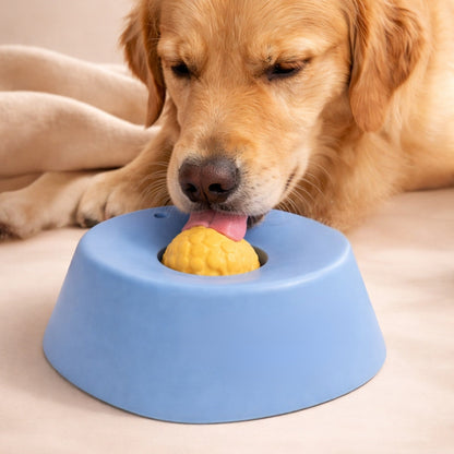 Slow Feeder Slickskål för Hund & Katt – Halkfri Matskål för Flytande Godis, Yoghurt & Våtfoder