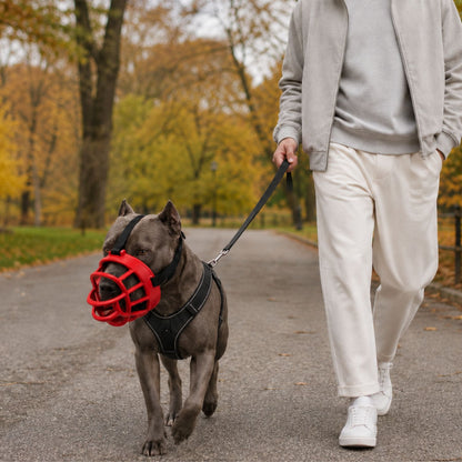 Mjuk Silikonmunkorg för Hund – Justerbar Korgmunkorg för Små, Medelstora & Stora Hundar