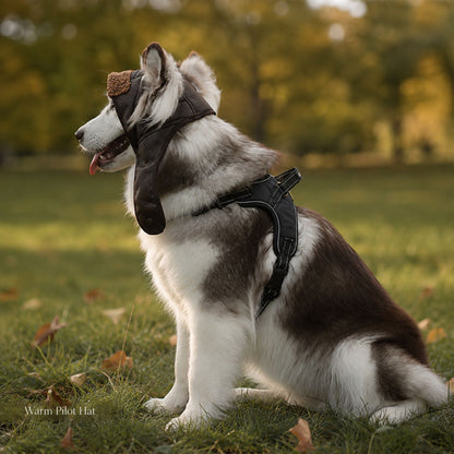 Varm Hundmössa med Öronskydd & Justerbar Hakrem – Pilotmössa för Hund
