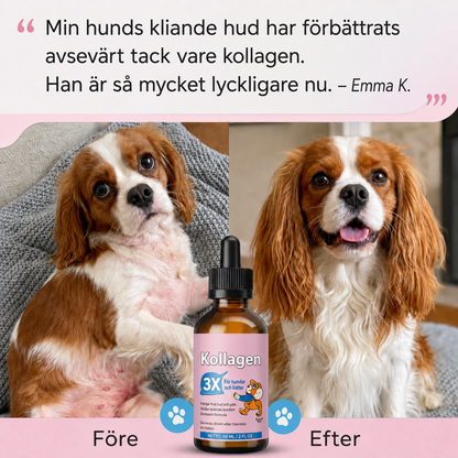 Kollagendroppar för Hundar – 60 ml Flytande Kollagentillskott för Leder, Rörlighet, Hud & Päls