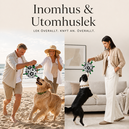 Fotboll för Hund med Remmar – Interaktiv Hundleksak för Apportering, Dragkamp & Utomhuslek
