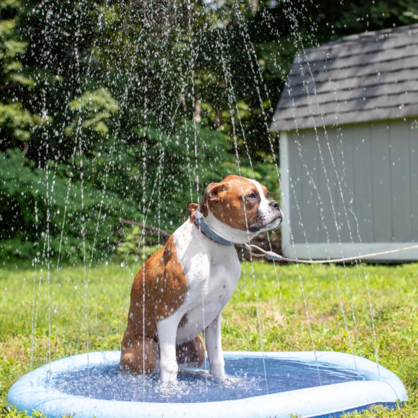 Splash Pad Vattenmatta för Hund – Uppblåsbar Vattenlekmatta för Utomhuslek & Svalka på Sommaren