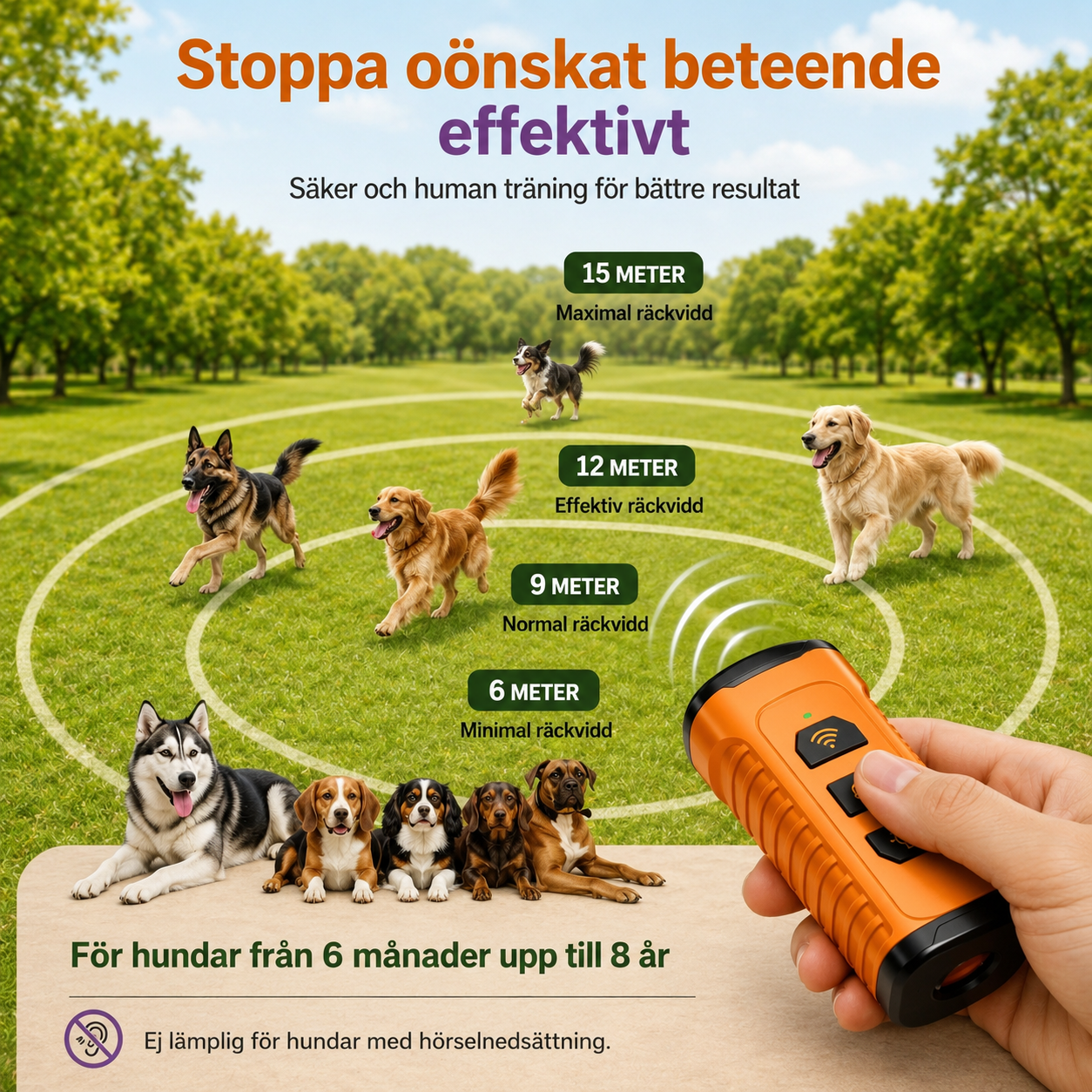 Uppladdningsbar Ultraljudstränare för Hund – Portabel Anti-Skall Enhet med LED-Ficklampa