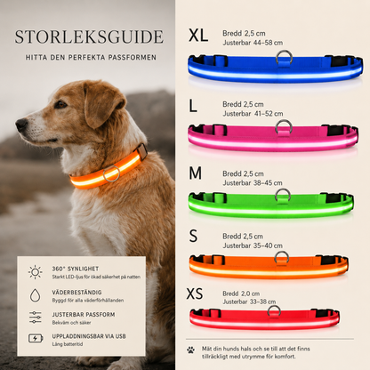 Justerbart LED-Halsband för Hund – Lysande Nylonhalsband för Kvälls- & Nattpromenader